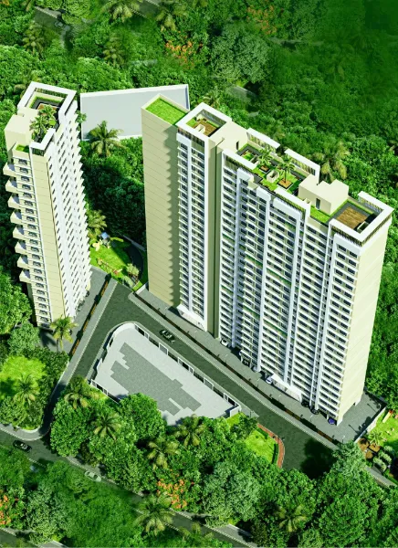 Apex Green Wood